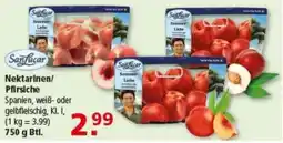 Multi Markt Sanfucar Nektarinen/Pfirsiche Angebot