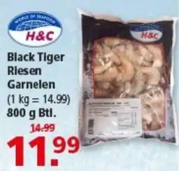 Multi Markt H&C Black Tiger Riesen Garnelen Angebot