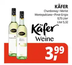 Hörl Getränke Käfer Weine Angebot