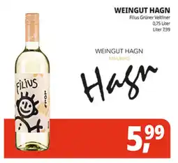 Hörl Getränke Filius Grüner Veltliner Angebot