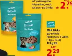 Multi Markt activa Friends Mini Sticks Angebot