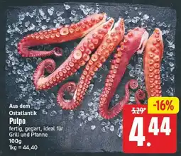 E-Center Pulpo Angebot