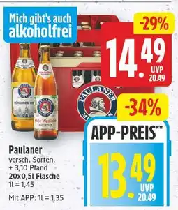 E-Center Paulaner paulaner Angebot