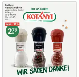 V Markt Kotányi meersalz jodiert Angebot