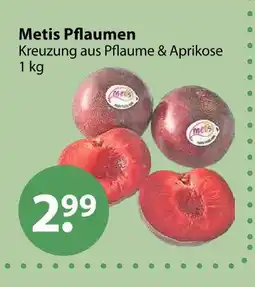 V Markt Metis pflaumen Angebot