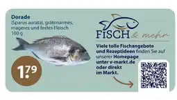 V Markt Dorade Angebot