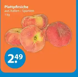 V Markt Plattpfirsiche Angebot