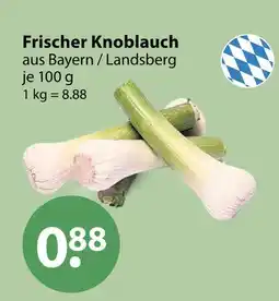 V Markt Frischer knoblauch Angebot