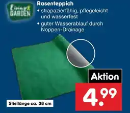 Netto Marken-Discount Rasenteppich Angebot