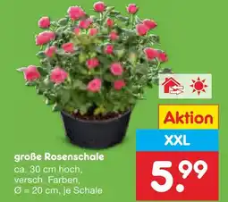 Netto Marken-Discount Große rosenschale Angebot