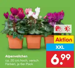 Netto Marken-Discount Alpenveilchen Angebot