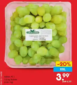 Netto Marken-Discount Weintrauben Angebot