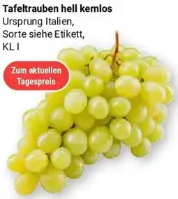 Globus Tafeltrauben hell kernlos Angebot