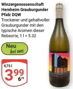 Globus Winzergenossenschaft Herxheim Grauburgunder Pfalz DQW Angebot