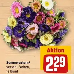 REWE Sommerastern Angebot
