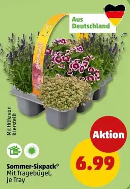 PENNY Sommer-Sixpack Angebot