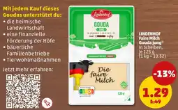 PENNY LINDENHOF Gouda jung Angebot