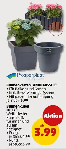 PENNY Prosperplast Blumenkasten LANDHAUSSTIL Angebot