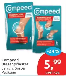 Budni Compeed Blasenpflaster Angebot