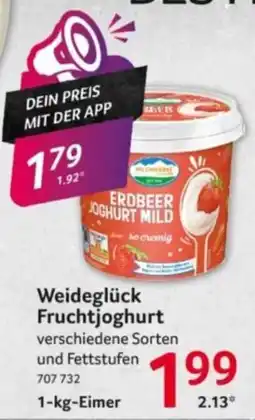 Selgros Weideglück Fruchtjoghurt Angebot
