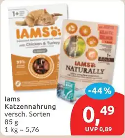 Budni IAMS Katzenfutter Angebot