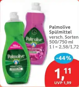 Budni Palmolive Spülmittel Angebot