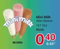 Selgros Mini Milk Angebot