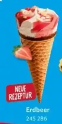 Selgros Erdbeer Angebot