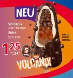 Selgros Volcanix Angebot