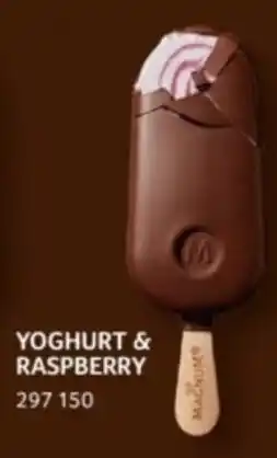 Selgros YOGHURT & RASPBERRY Angebot