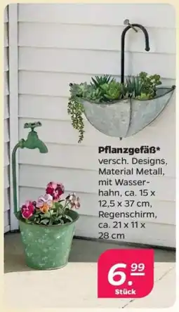 Netto Pflanzgefäß* Angebot