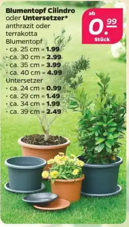 Netto Blumentopf Cilindro oder Untersetzer* Angebot