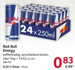 Selgros Red Bull Energy Angebot