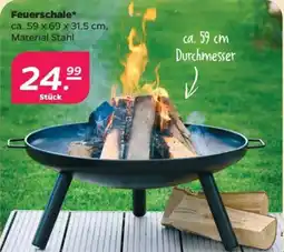 Netto Feuerschale* Angebot