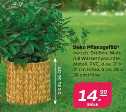 Netto Deko Pflanzgefäß* Angebot