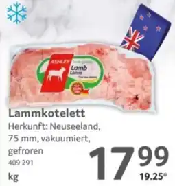 Selgros ASHLEY Lamb Lamm Angebot