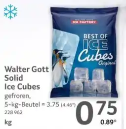 Selgros Walter Gott Solid Ice Cubes Angebot