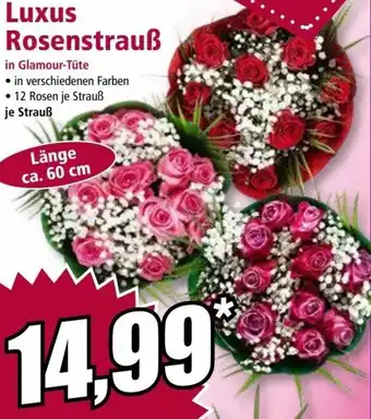 Norma Luxus Rosenstrauß Angebot