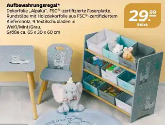 NETTO Aufbewahrungsregal Angebot