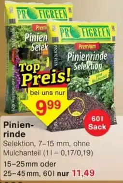 Jawoll Pinienrinde Selektion Angebot