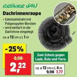 Thomas Philipps GRÜNER JAN Dachrinnenraupe Angebot