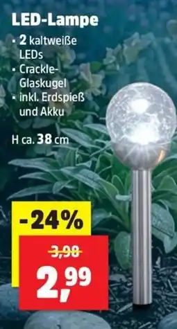 Thomas Philipps LED-Lampe Angebot