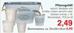 Jawoll Pflanzgefäß Angebot