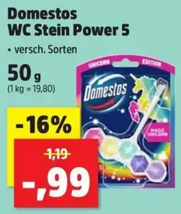 Thomas Philipps Domestos WC Stein Power 5 Angebot