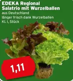 CAP Markt EDEKA Regional Salatrio mit Wurzelballen Angebot
