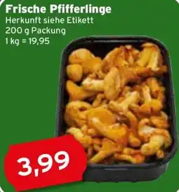 CAP Markt Frische Pfifferlinge Angebot