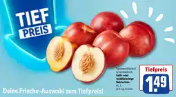 REWE Gelb- oder weißfleischige Nektarinen Angebot