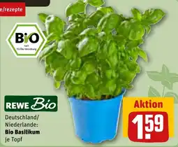 REWE Bio Basilikum Angebot