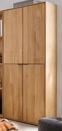 Zurbrüggen Aktenschrank hoch Angebot