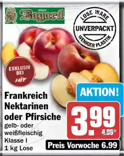 HIT Bayard Nektarinen oder Pfirsiche Angebot